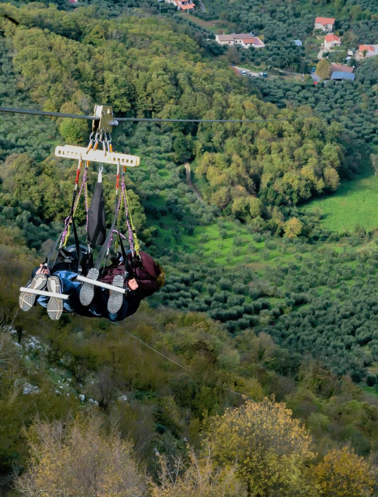 zz-1.jpg
